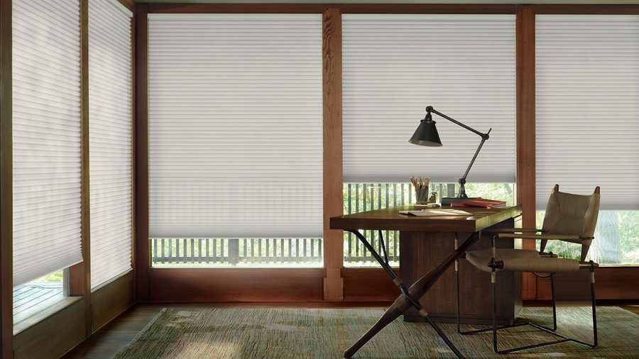 Hunter Douglas Cellular Shades Day Night dual function honeycomb in a Tampa Bay home — installed by Accolade Interiors