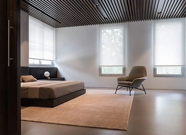 Hunter Douglas Solar Shades light filtering in a bright Florida living room — installed by Accolade Interiors Tampa Bay